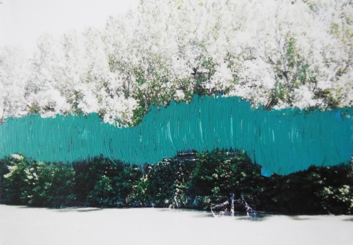 'Het schild' 2013 - acryl op foto, 9 x 12 cm